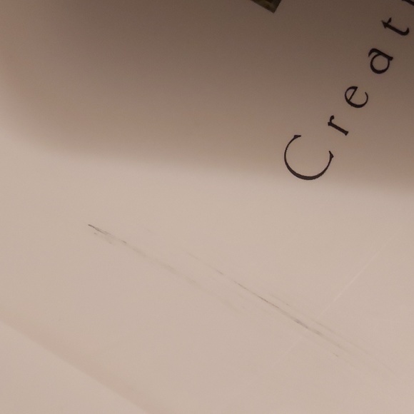 🟢Wedding Book  Michelle Rago - Picture 12 of 12